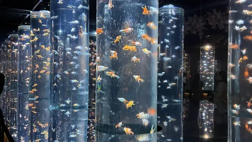 ART AQUARIUM MUSEUM