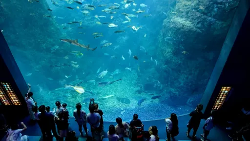 Enoshima Aquarium