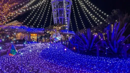 Enoshima Sea Candle