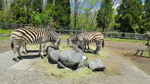 Fuji Safari Park
