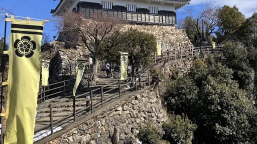 Gifu Castle