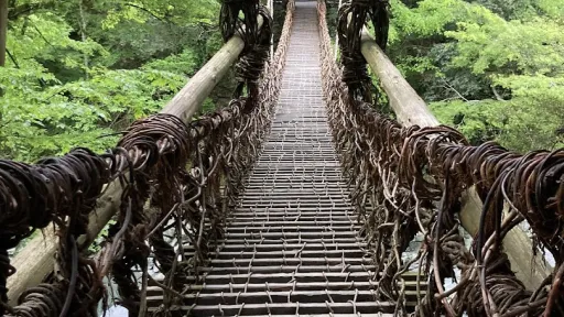 Iya Valley Vine Bridge