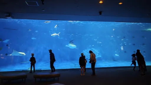 Kagoshima City Aquarium