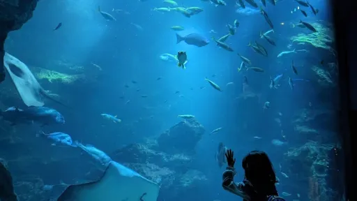 Kyoto Aquarium