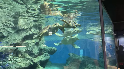 Port Of Nagoya Public Aquarium