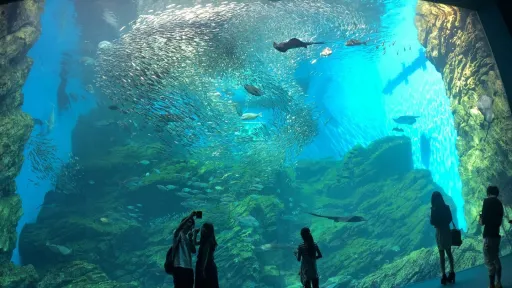 Sendai Umino-Mori Aquarium