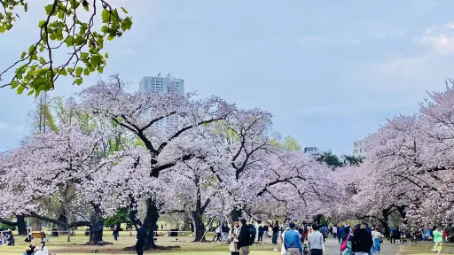 Shinjuku Gyoen National Garden