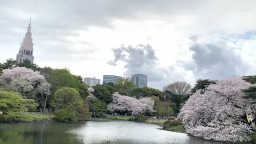 Shinjuku Gyoen National Garden