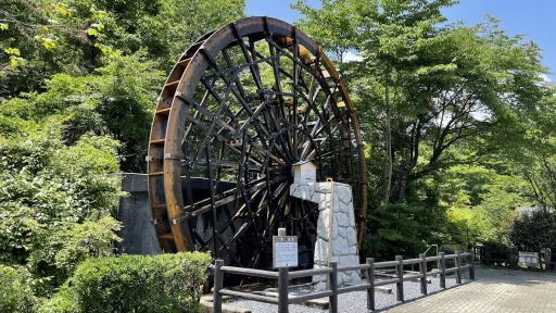 Suginamiki Park