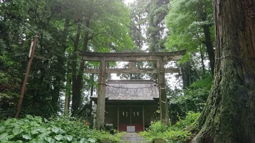Suginamiki Park