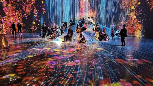 teamLab Borderless: MORI Building DIGITAL ART MUSEUM