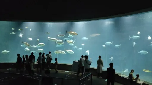 Tokyo Sea Life Park