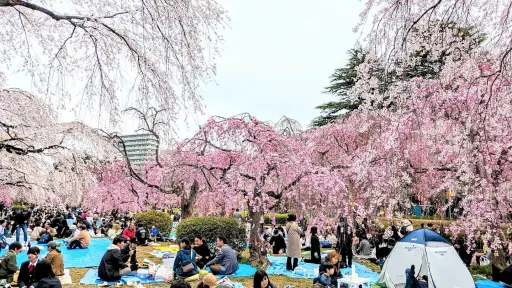 Tsutsujigaoka Park