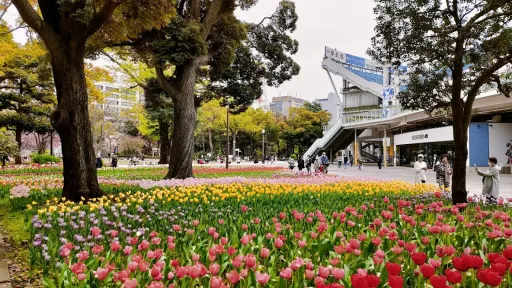 Yokohama Park