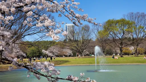 Yoyogi Park
