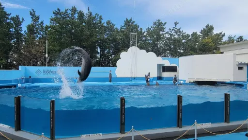 Niigata City Aquarium Marinepia Nihonkai (Sea of Japan)