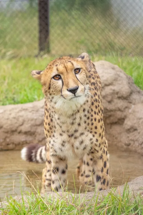 Chiba Zoological Park