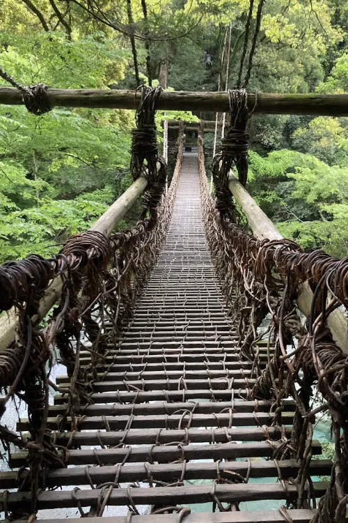 Iya Valley Vine Bridge