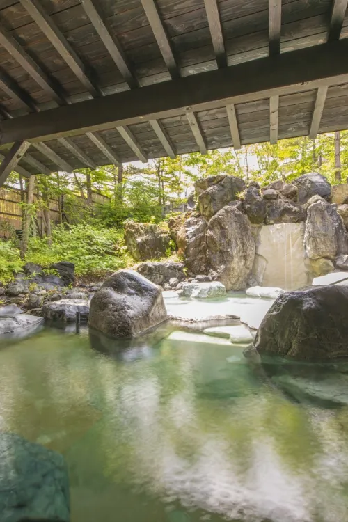 Kusatsu Now Resort Hotel