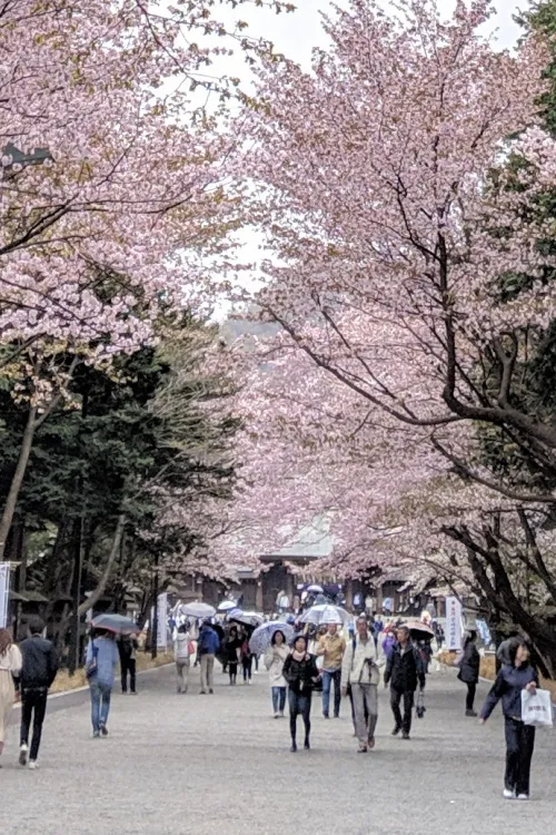 Maruyama Park