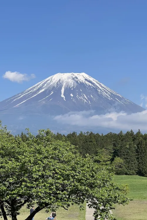 Mt. Fuji viewpoint