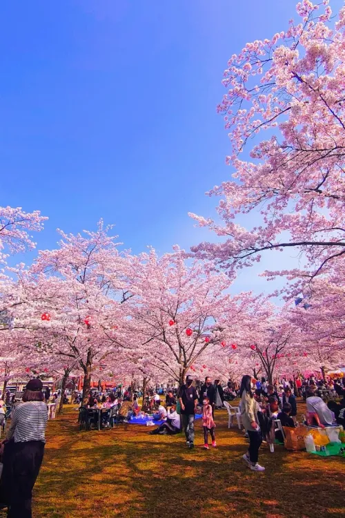 Nishi Park (West Park)