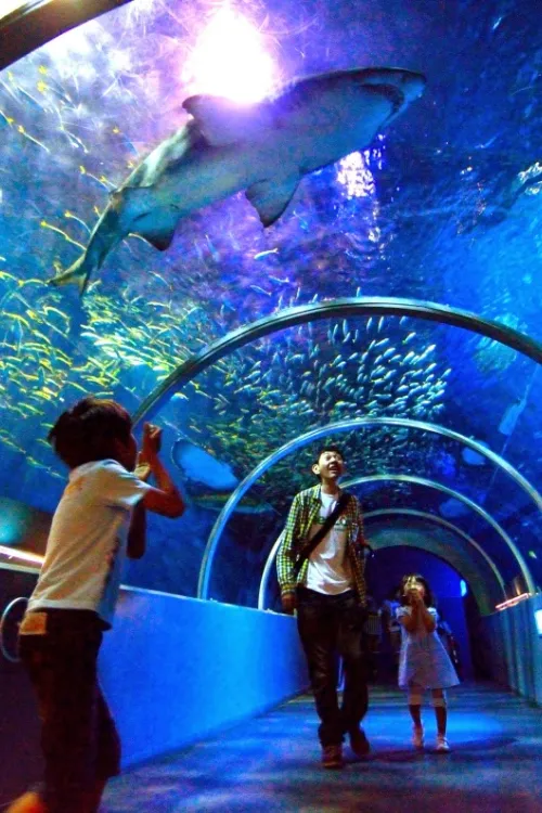 Noboribetsu Marine Park Nixe
