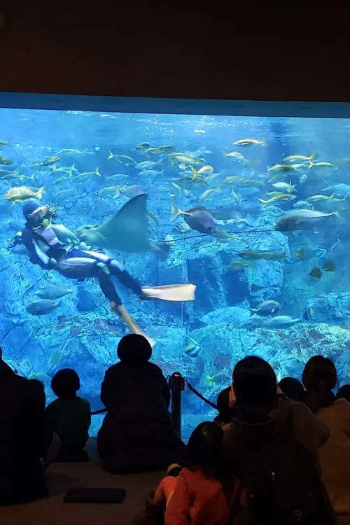 Oita Marine Palace Aquarium "Umitamago"