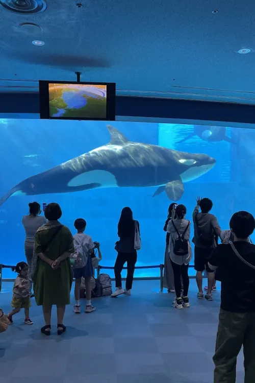 Port Of Nagoya Public Aquarium