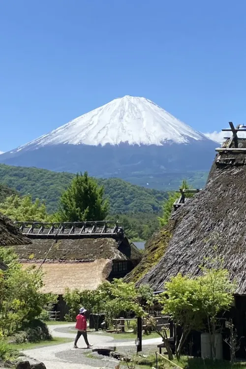 Saiko Iyashi-no-Sato Nemba (Traditional Japanese Village)