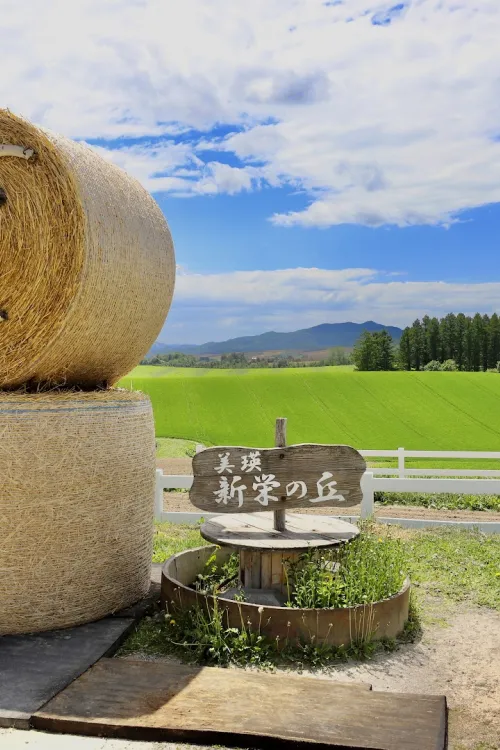 Shinei-no-Oka Observatory Park