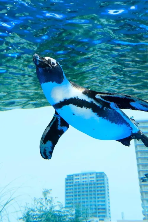 Sunshine Aquarium