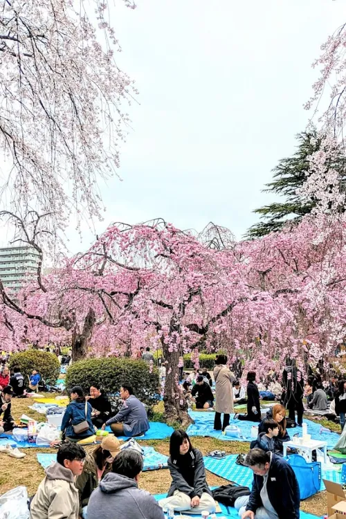 Tsutsujigaoka Park