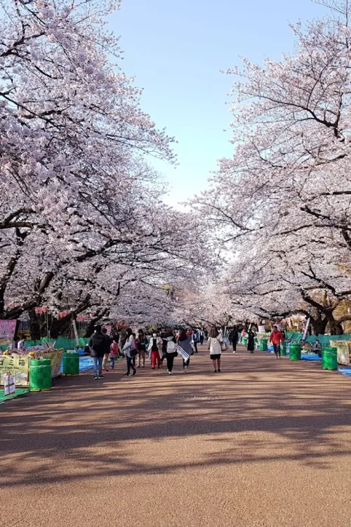 Ueno Park