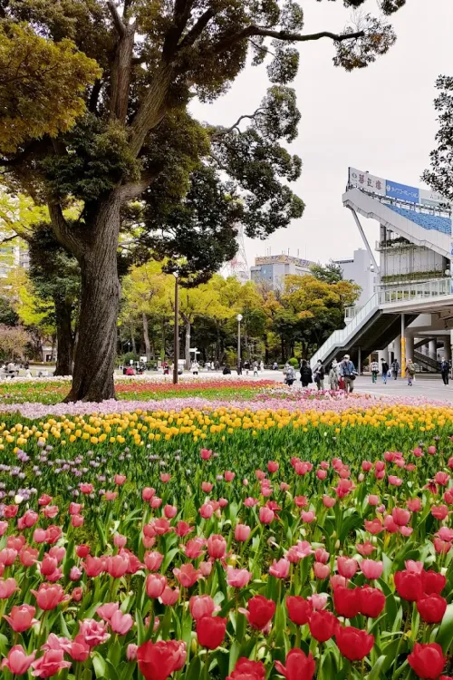 Yokohama Park