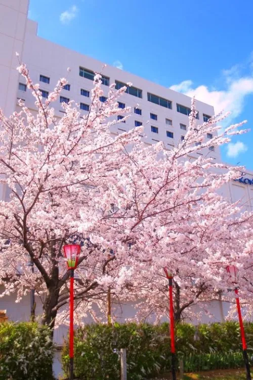 Hotel Okura Niigata